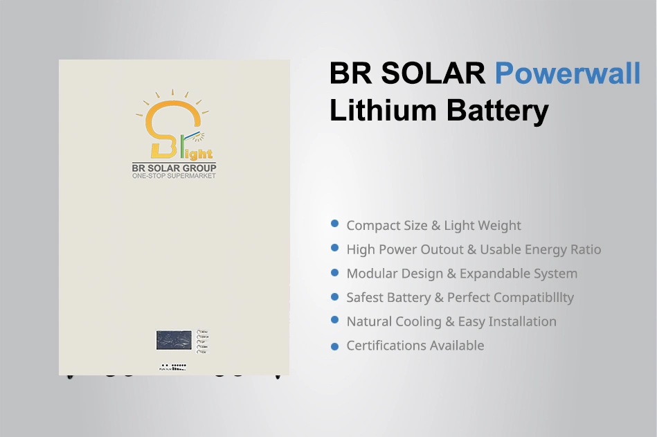 48V 5kwh/10kwh 100ah 200ah Powerwall Solar Lithium LiFePO4 Li Ion/LiFePO4 /Lipo/Lto/LiFePO Phosphate Storage Battery for Solar Home Energy System Power Bank