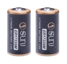 장난감 가전 제품 Er17335m용 특별 제안 1700mAh 3.6V 리튬 이온 배터리